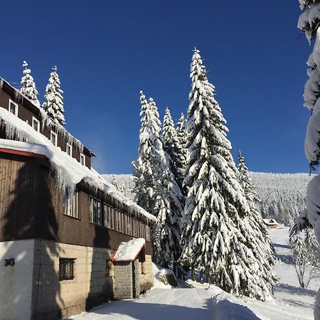 Hotel Flora Dolni Misecky Vítkovice Kültér fotó