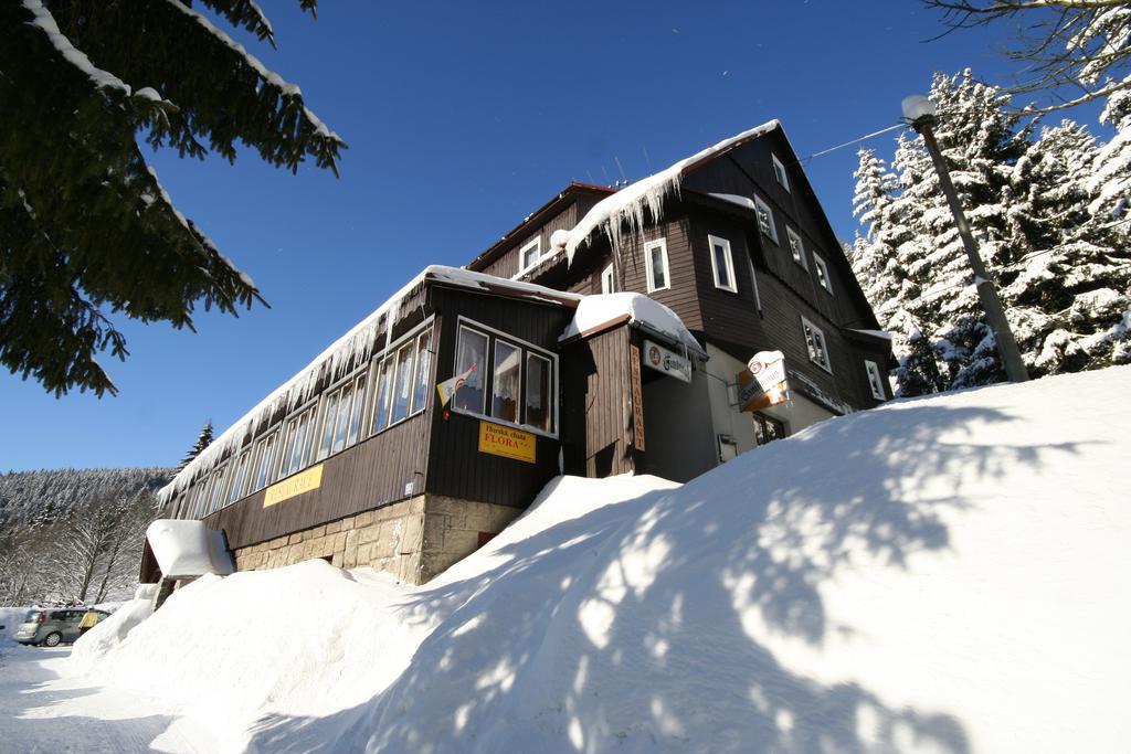 Hotel Flora Dolni Misecky Vítkovice Kültér fotó